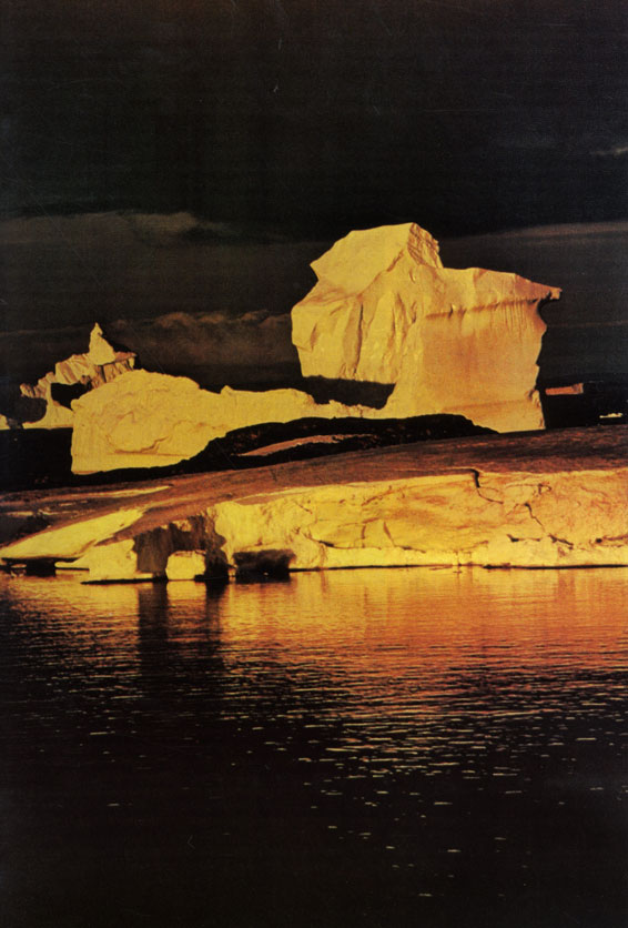 За шельфовым ледником, вблизи острова Арджентайн, над морем громоздятся антарктические айсберги. Они образовались, когда от ледника на острове откололся огромный кусок льда. В Антарктике айсберги, как правило, крупнее, чем в Арктике