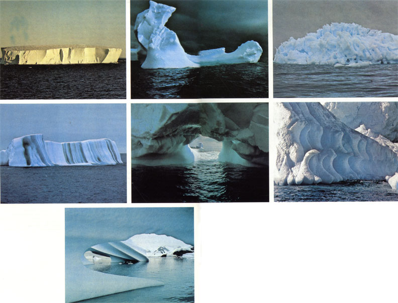 Тающие, или гниющие, айсберги Антарктики могут принимать самые причудливые очертания. Одни окружены точь-в-точь ледяным частоколом, другие увенчаны шпилями, башенками. Для антарктических айсбергов недавнего происхождения характерна столовая форма. Подобные айсберги, достигая в толщину 600 м, имеют плоскую вершину, так как происходят от шельфового ледника, окружающего замерзший материк. В Арктике, где шельфовые ледники редки, айсберги образуются в результате откола от наземных ледников относительно небольших кусков неправильной формы. Напротив, в Антарктике встречаются айсберги величиною со штат Род-Айденд. Первым исследователям полярных морей случалось принимать айсберги за новые земли
