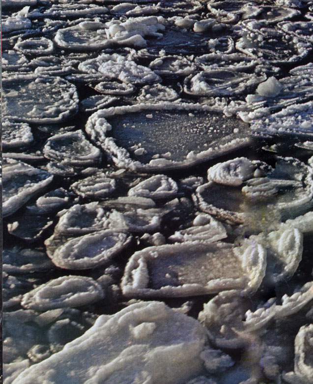  Блинчатый лед образуется у кромки льда вследствие того что под воздействием волнения или зыби льдины ударяются одна о другую. Движения воды и столкновения заставляют их закругляться