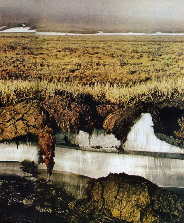 В почвенном разрезе тундры около озера Нолук на Аляске видны лед и грунт. Под верхним слоем почвы, подверженным сезонным замерзанию и таянию, лежит слой вечной мерзлоты, достигающий местами глубины 600 м