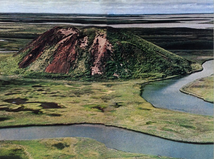Пинго на реке Маккензи в Канаде. Так называются бугры, возникающие благодаря образованию ледяного ядра в почве. Пинго достигают высоты 30 м и существуют годами