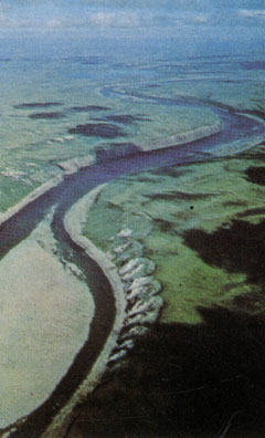 Река Коппермайн (Северо-Западные территории Канады) на пути к Северному Ледовитому океану образует многочисленные излучины