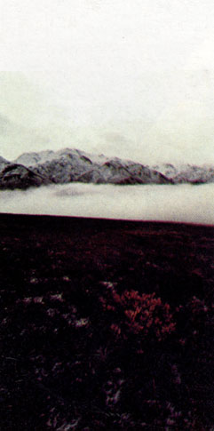 Тундра захватывает горы Брукс-Рейндж. Наивысшая вершина хребта и всей Северной Америки - гора Мак-Кинли, вздымающаяся на 6190 м. Благодаря большой высоте тундра Мак-Кинли очень походит на настоящую арктическую тундру, простирающуюся дальше на север