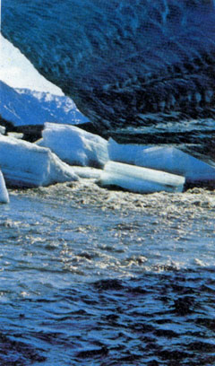 Зазубренные осколки льда несутся по реке Хулахула, которая течет между морем Бофорта и Брукс-Рейндж. Спустя некоторое время льдины начнут постепенно таять. В устья таких вот рек входит из моря нереста арктический голец