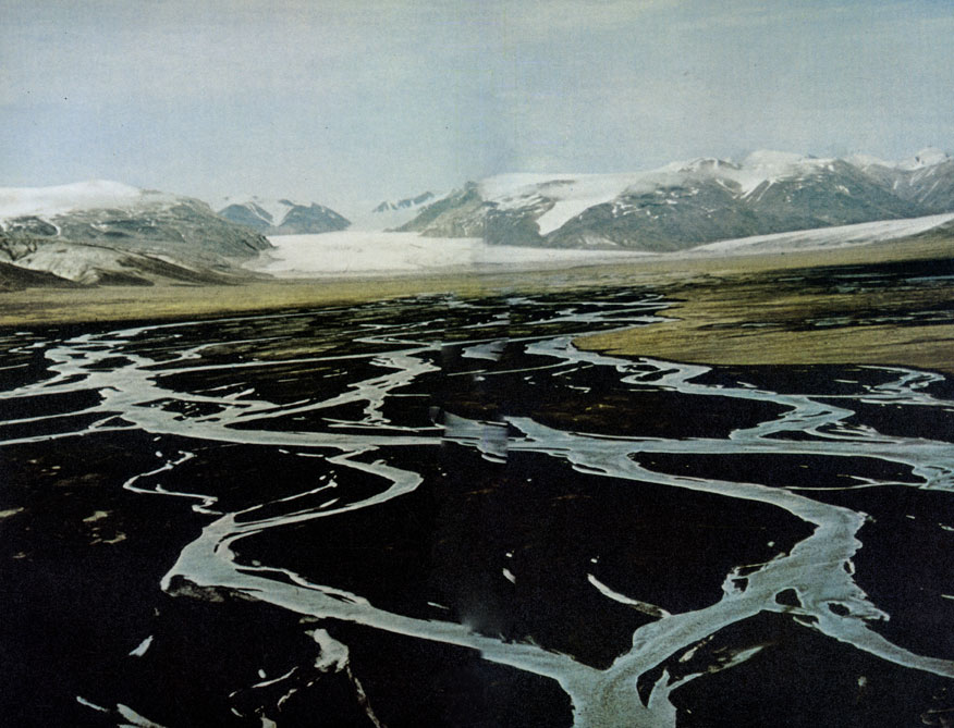 Приледниковая равнина на канадском острове Байлот испещрена петлями ручьев, образованных талой ледниковой водой